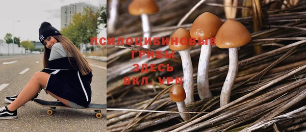 винт Киренск