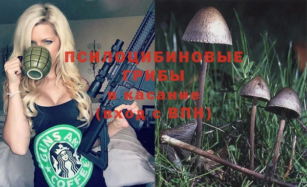 прущий лед Кинешма